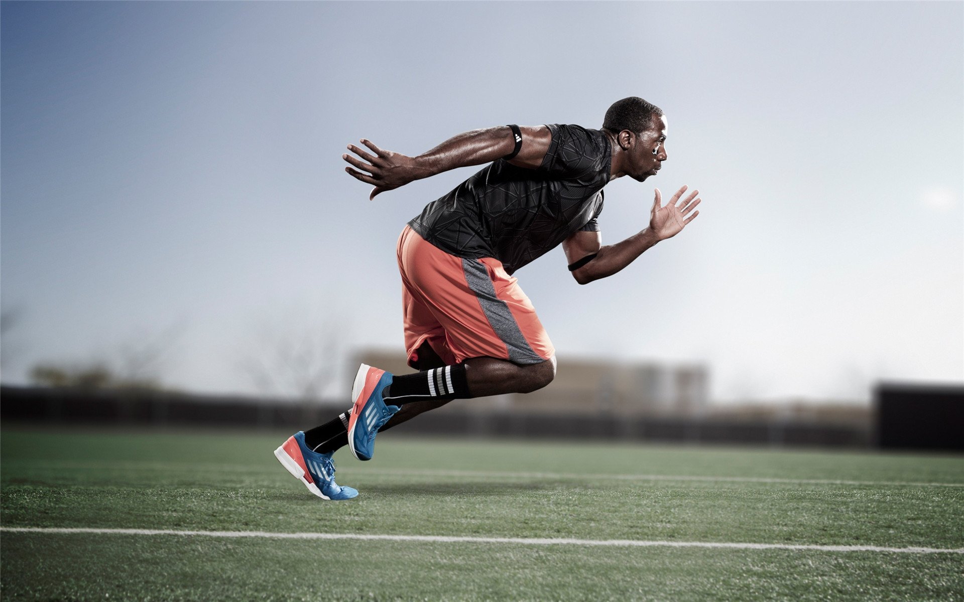 世界杯:摩洛哥球迷高喊“非洲!非洲!” 看台一侧变红绿海洋